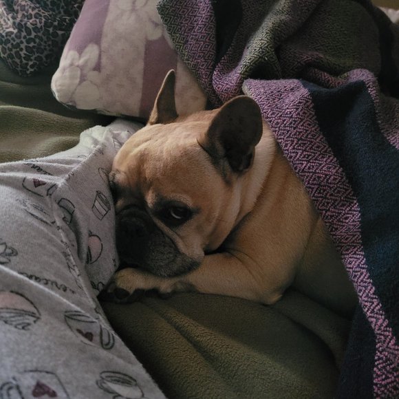 Meet your Posher, Jamee - Picture 2 of 4